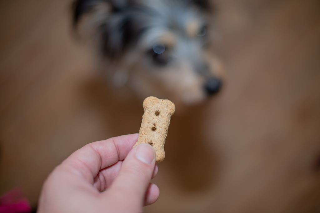 THE PROBLEM WITH MOST DOG TREATS